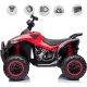 Quad de batería para niños SPEED 12V