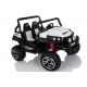 Buggy Safari 12V