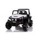 Buggy Safari 12V