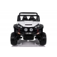 Buggy Safari 12V