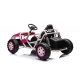 Coche electrico para niños SPORT 24V
