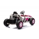 Coche electrico para niños SPORT 24V
